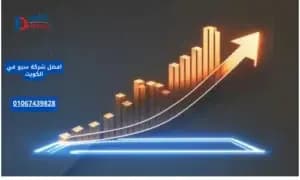 صورة مقال: افضل شركة سيو في الكويت