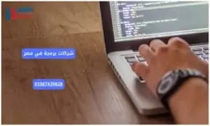 صورة مقال: شركات برمجة في مصر
